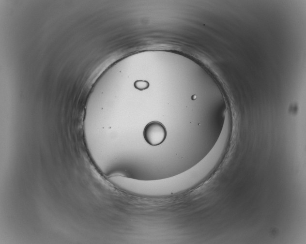 X0000112531193200909141239