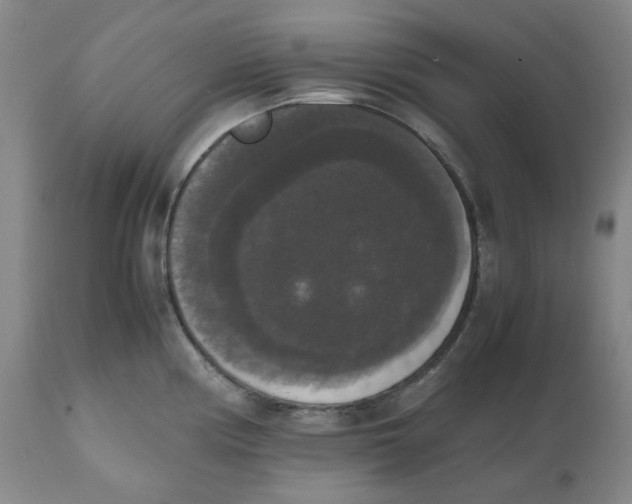 X0000112531194200909141239