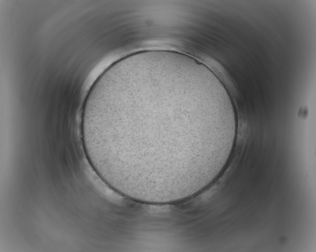 X0000112531196200909141239