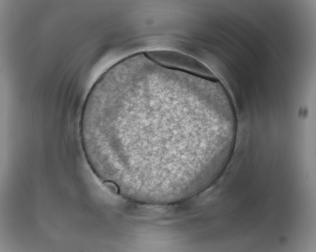 X0000112531197200909141239