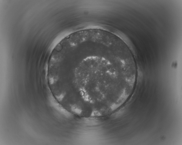 X0000112531198200909141239