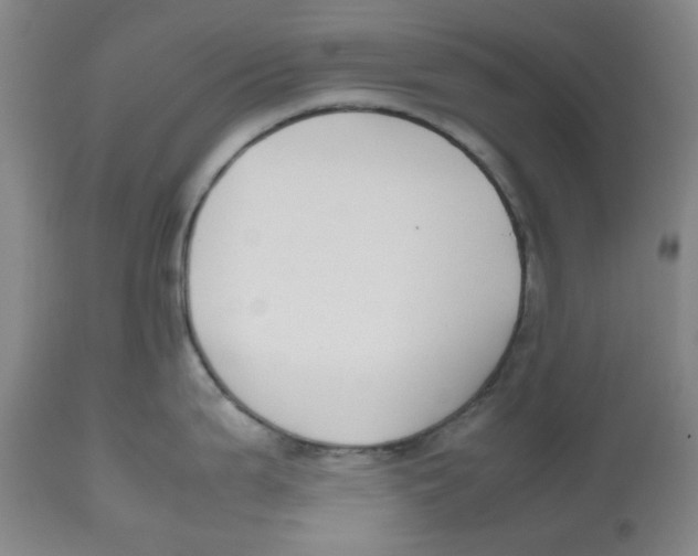 X0000112531199200909141239