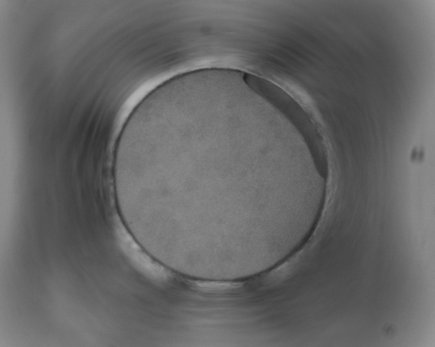 X0000112531200200909141239