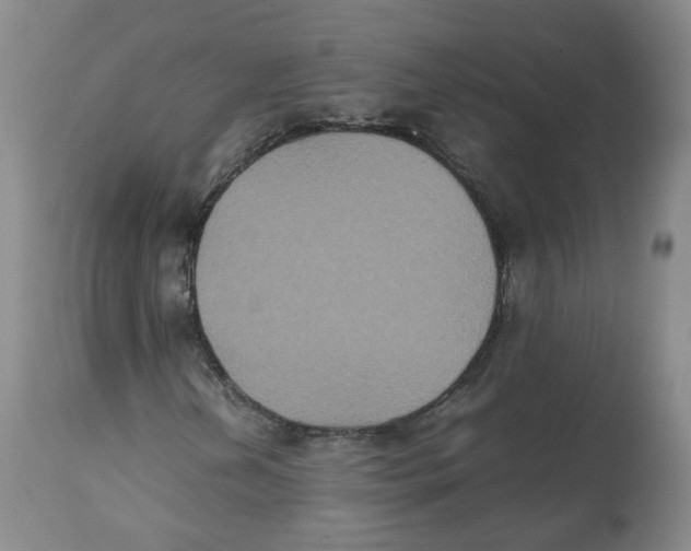 X0000112531202200909141238