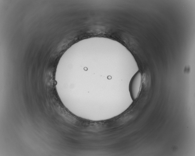 X0000112531203200909141238