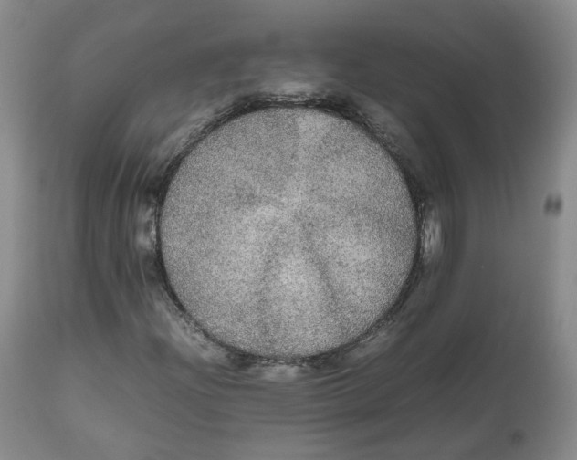 X0000112531204200909141238