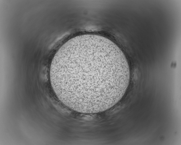 X0000112531205200909141238