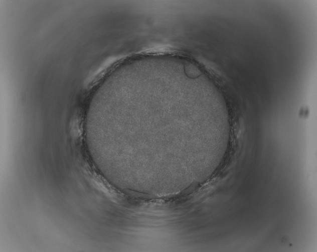 X0000112531206200909141238