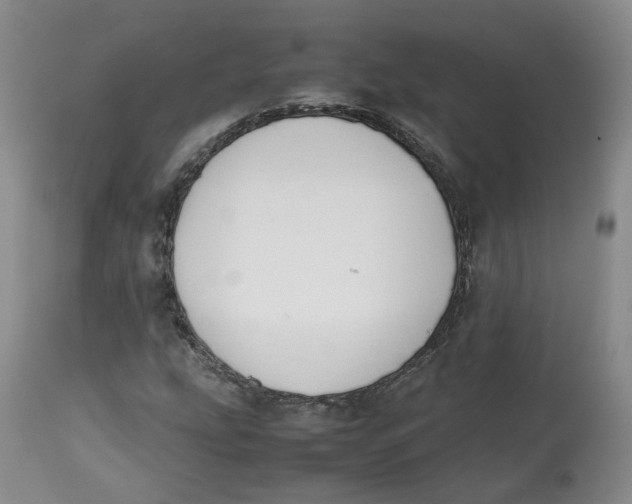 X0000112531207200909141238