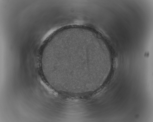 X0000112531208200909141238