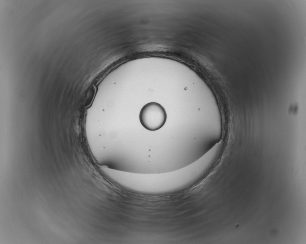 X0000112531209200909141238