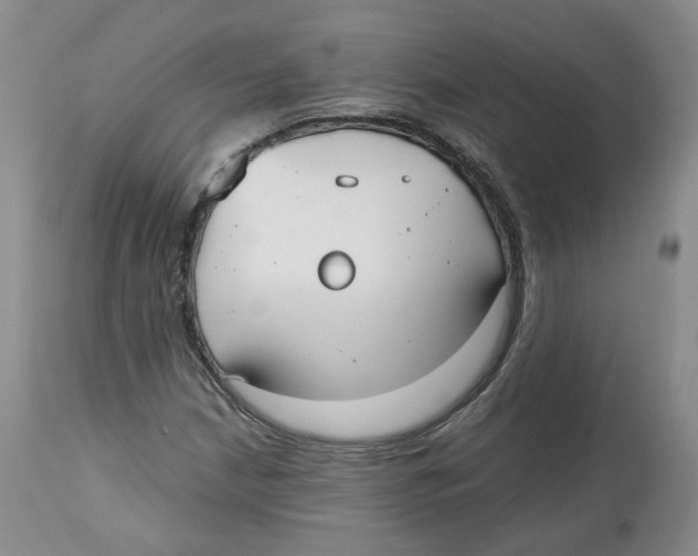 X0000112531210200909141238