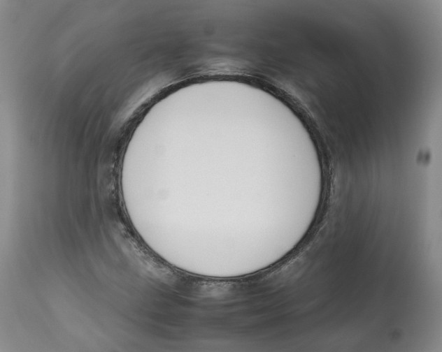 X0000112531211200909141238