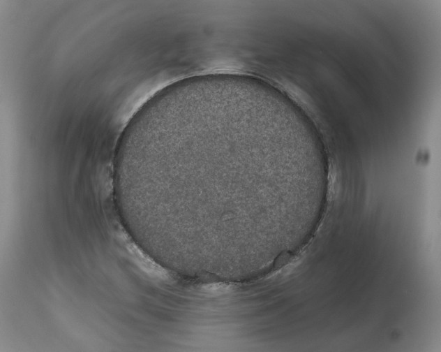 X0000112531212200909141238