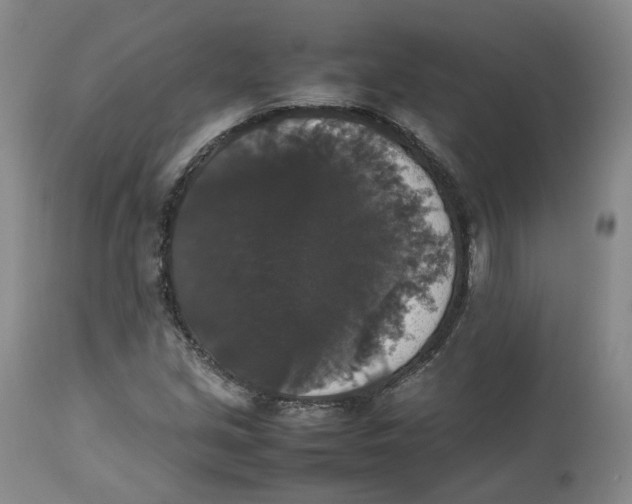 X0000112531213200909141239