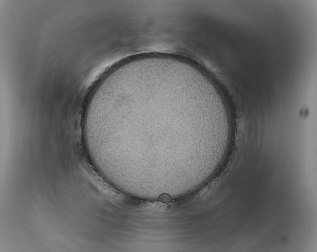 X0000112531214200909141239