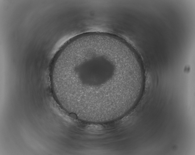 X0000112531215200909141239