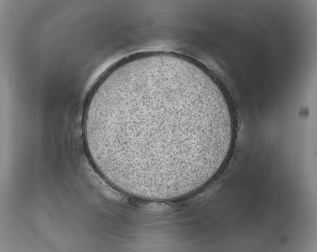 X0000112531216200909141239