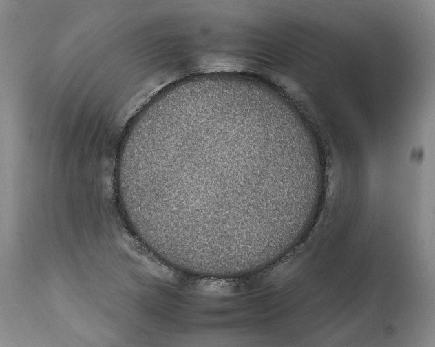 X0000112531217200909141239