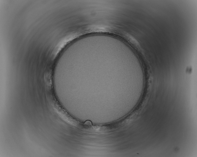 X0000112531218200909141239