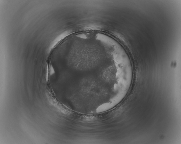 X0000112531219200909141239