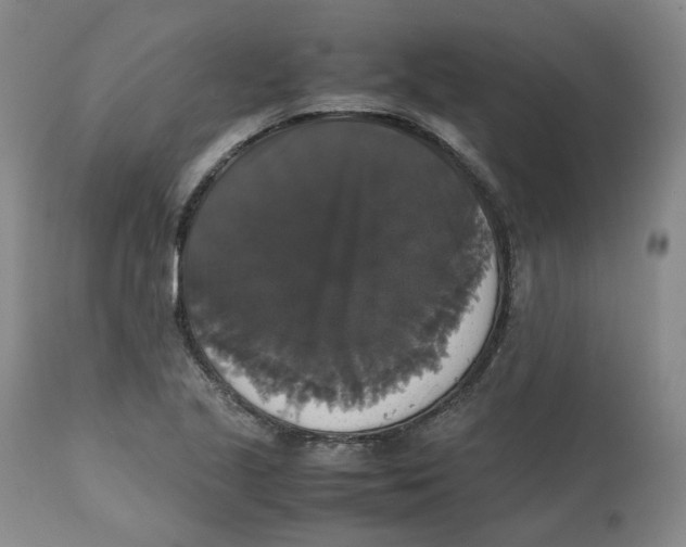 X0000112531221200909141239