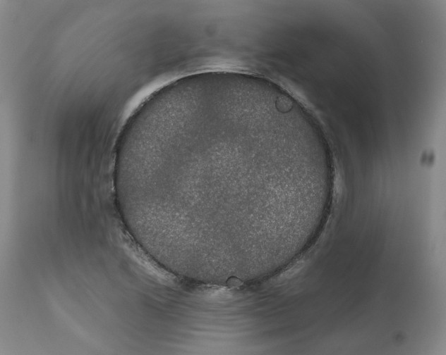 X0000112531222200909141239