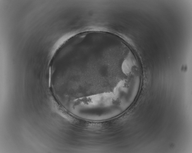 X0000112531223200909141239