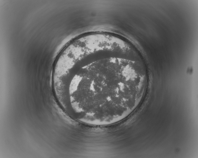 X0000112531224200909141239