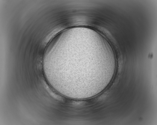 X0000112531225200909141239