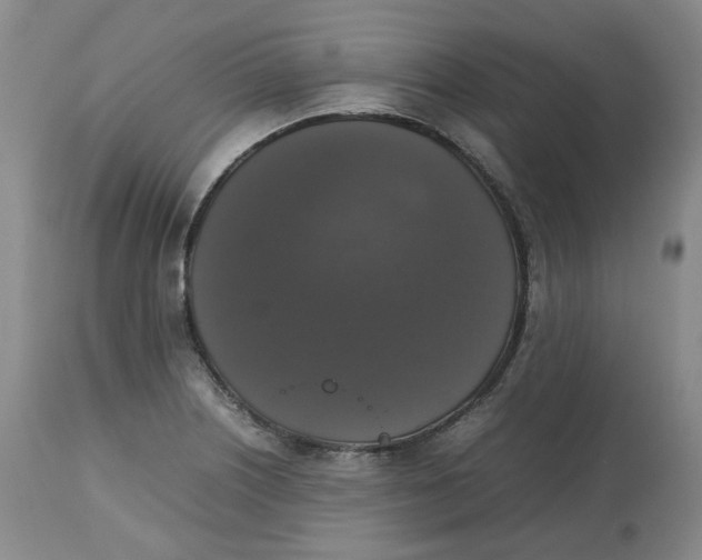 X0000112531226200909141239