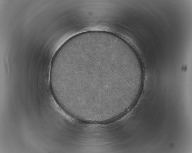 X0000112531228200909141239