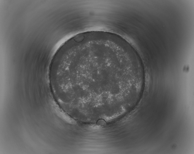 X0000112531230200909141239