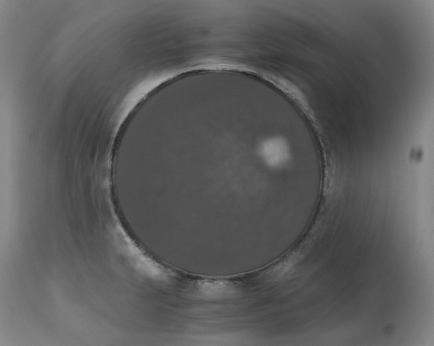 X0000112531231200909141239