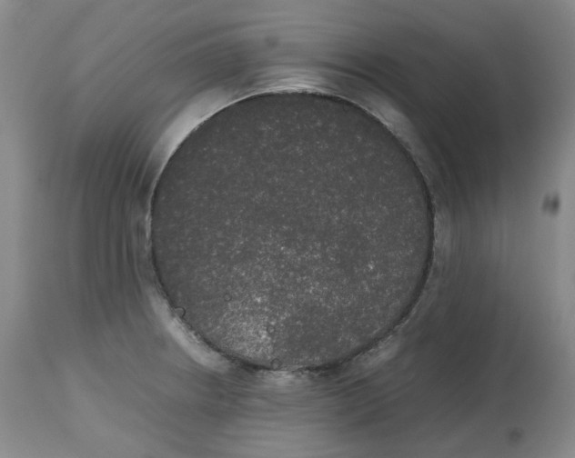 X0000112531234200909141239