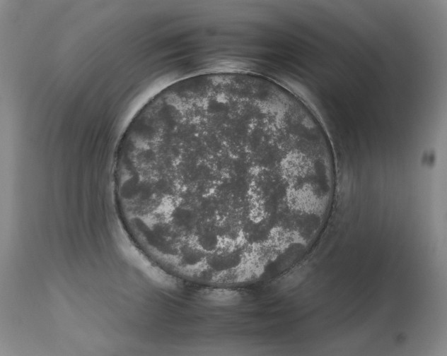 X0000112531235200909141239