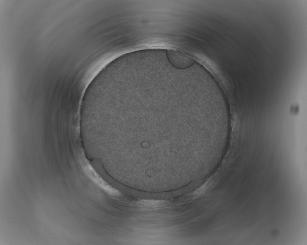 X0000112531236200909141239