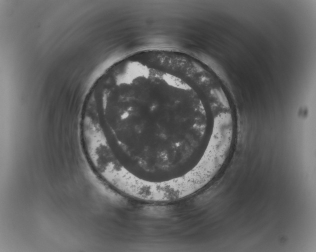 X0000112531237200909141239