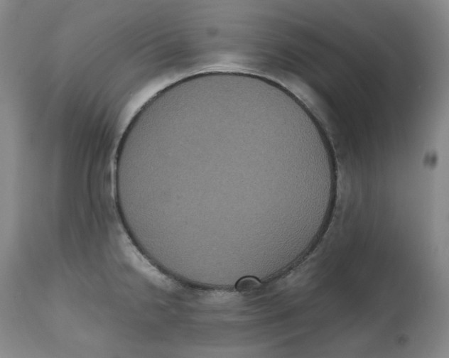 X0000112531238200909141239