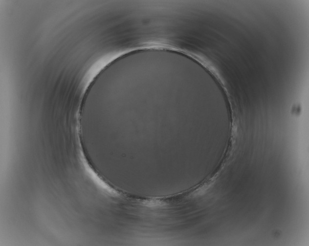 X0000112531239200909141239