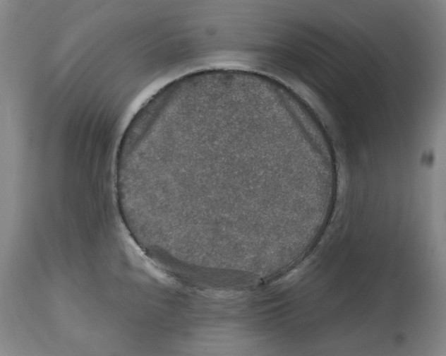 X0000112531240200909141239