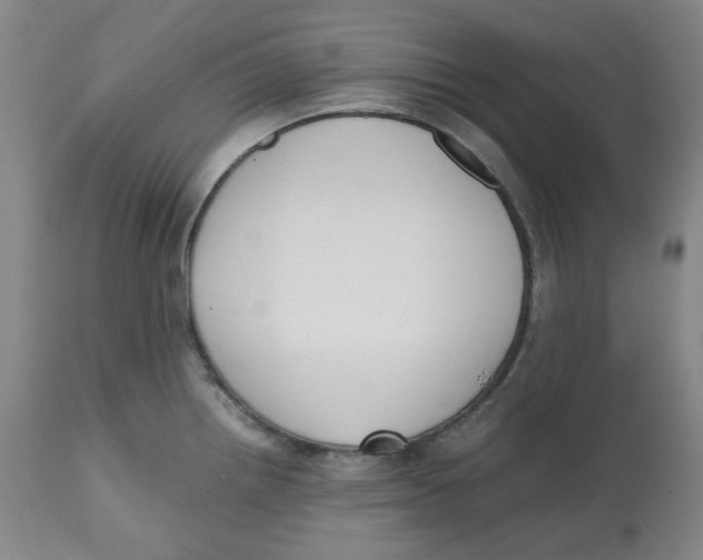 X0000112531242200909141239