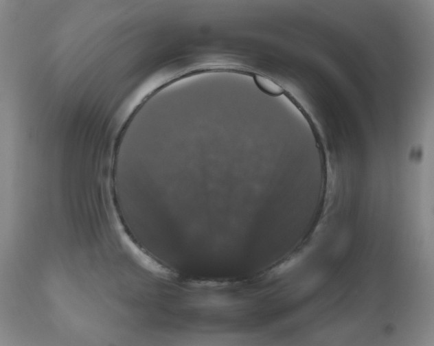 X0000112531245200909141239