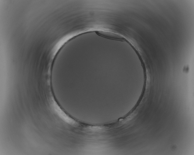 X0000112531246200909141239