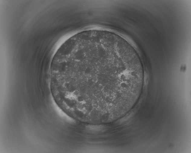 X0000112531247200909141239