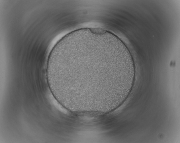 X0000112531248200909141239