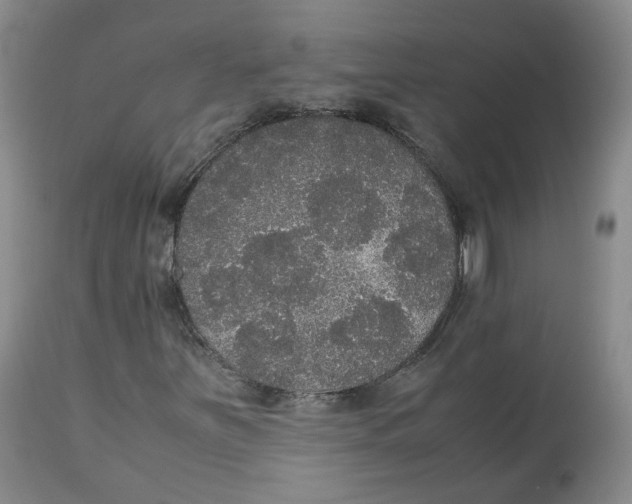 X0000112531251200909141238