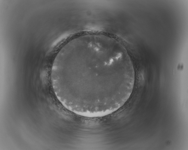 X0000112531254200909141238