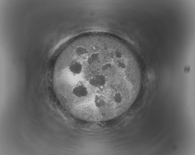 X0000112531255200909141238