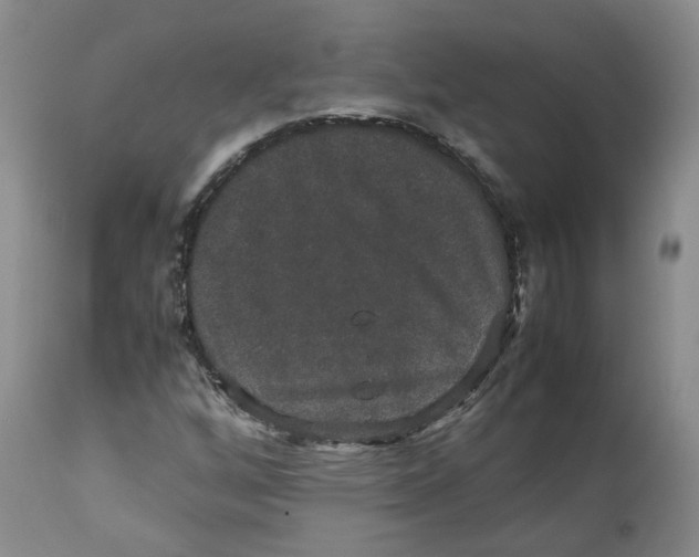 X0000112531256200909141238